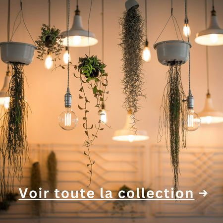 voir toute la collection